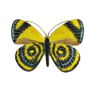 Antique silver gilt enamel butterfly brooch | Jewellery restoration melbourne